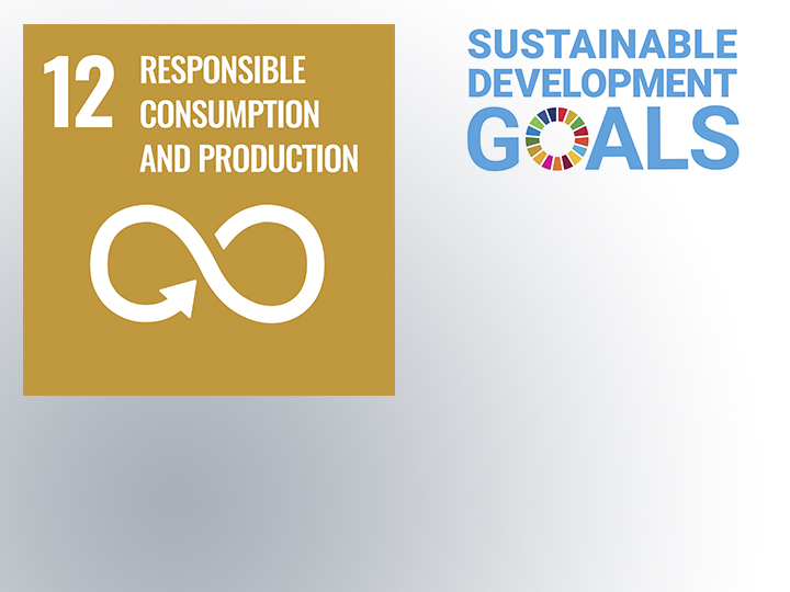 The United Nations Sustainable Development Goal 12 aims at sustainable consumption and production.