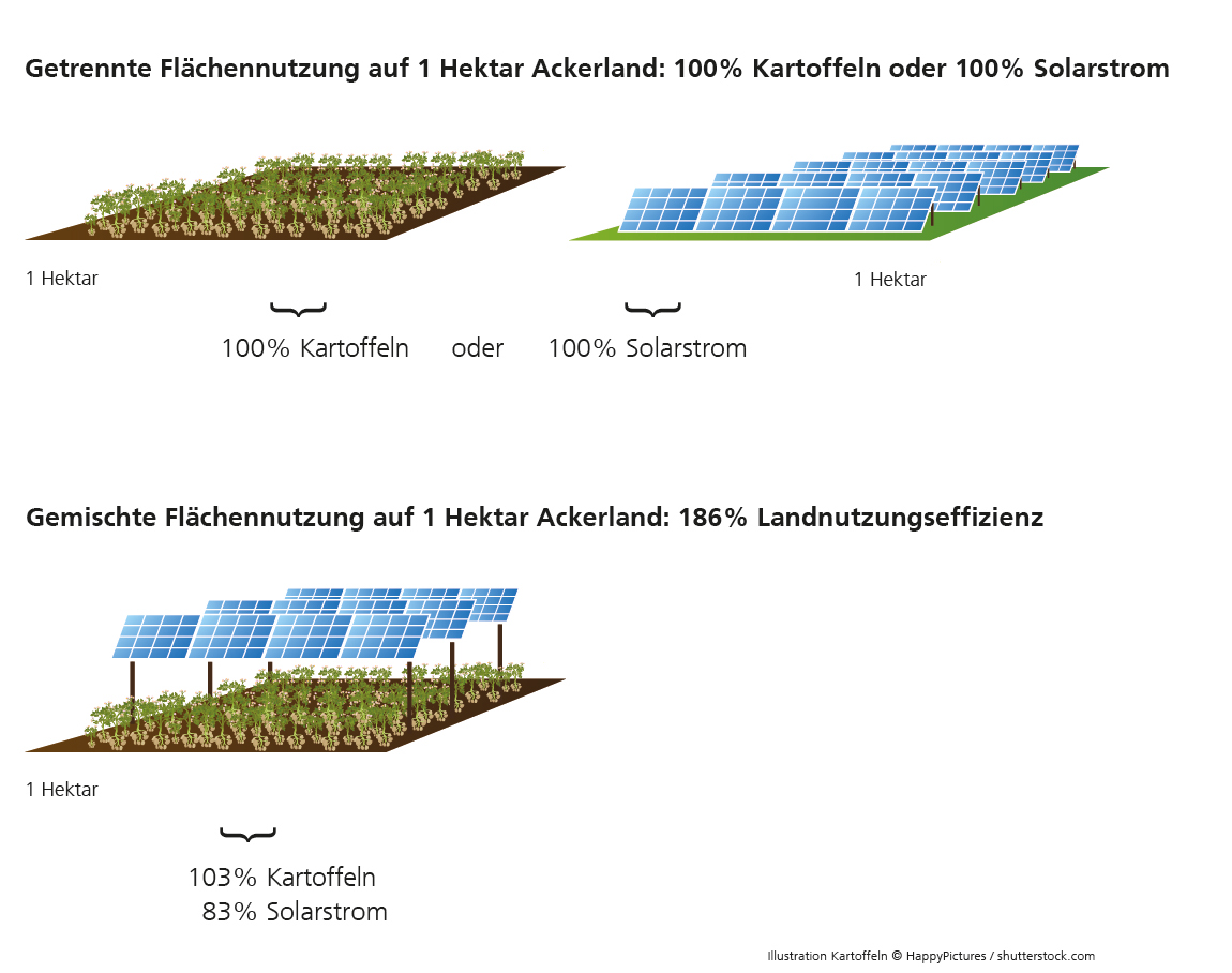 [Bild: APV_Grafik_kartoffeln_dt_1.jpg]