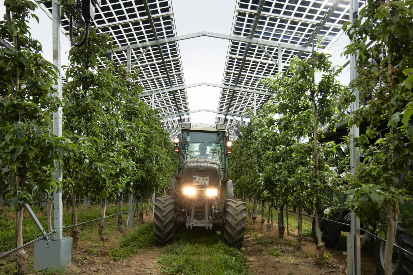 Biodiversität von Agri-PV-Anlagen - Bewirtschaftung