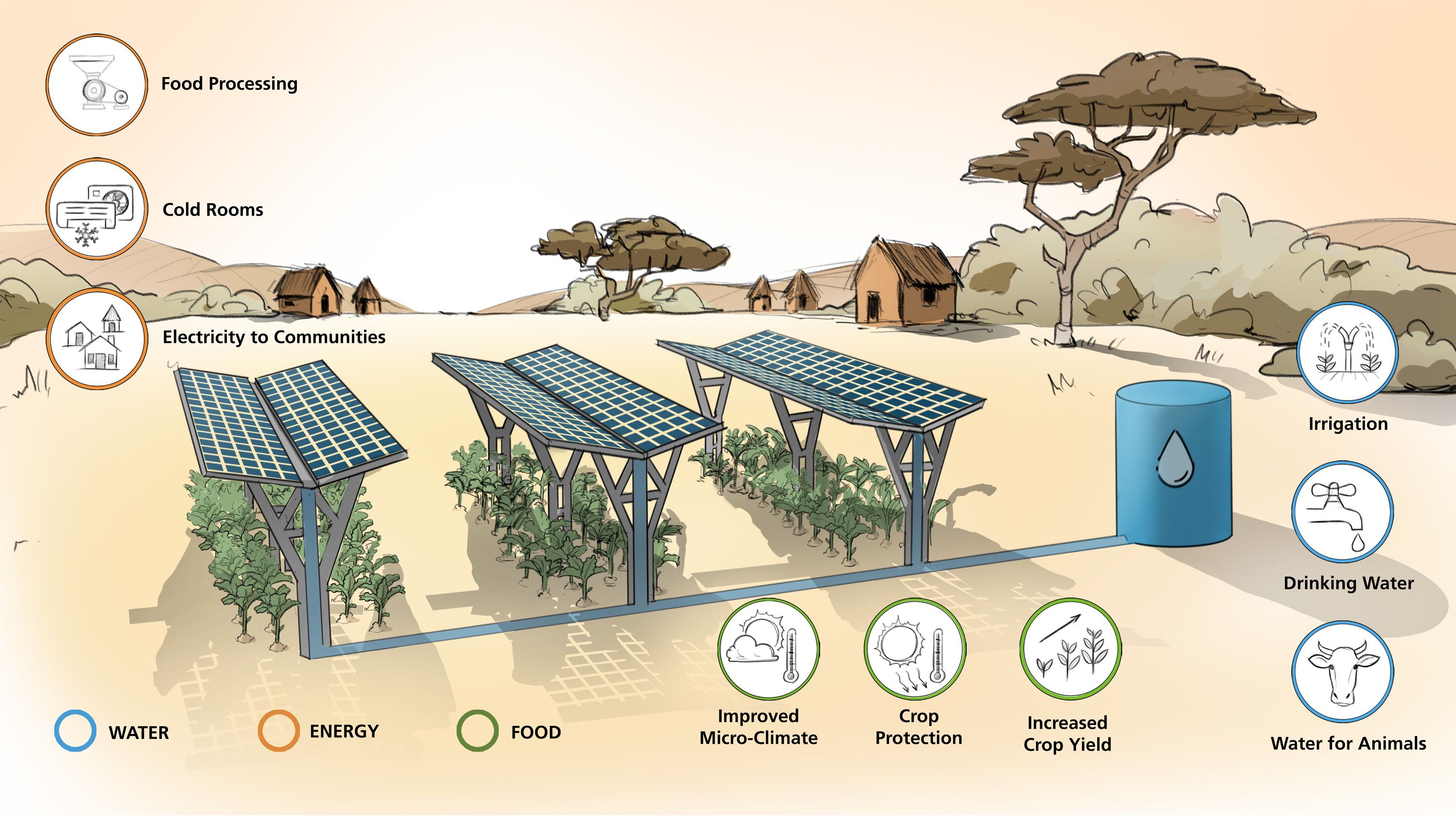 Schematische Darstellung einer dreifachen Landnutzung durch die Agri-Photovoltaik 