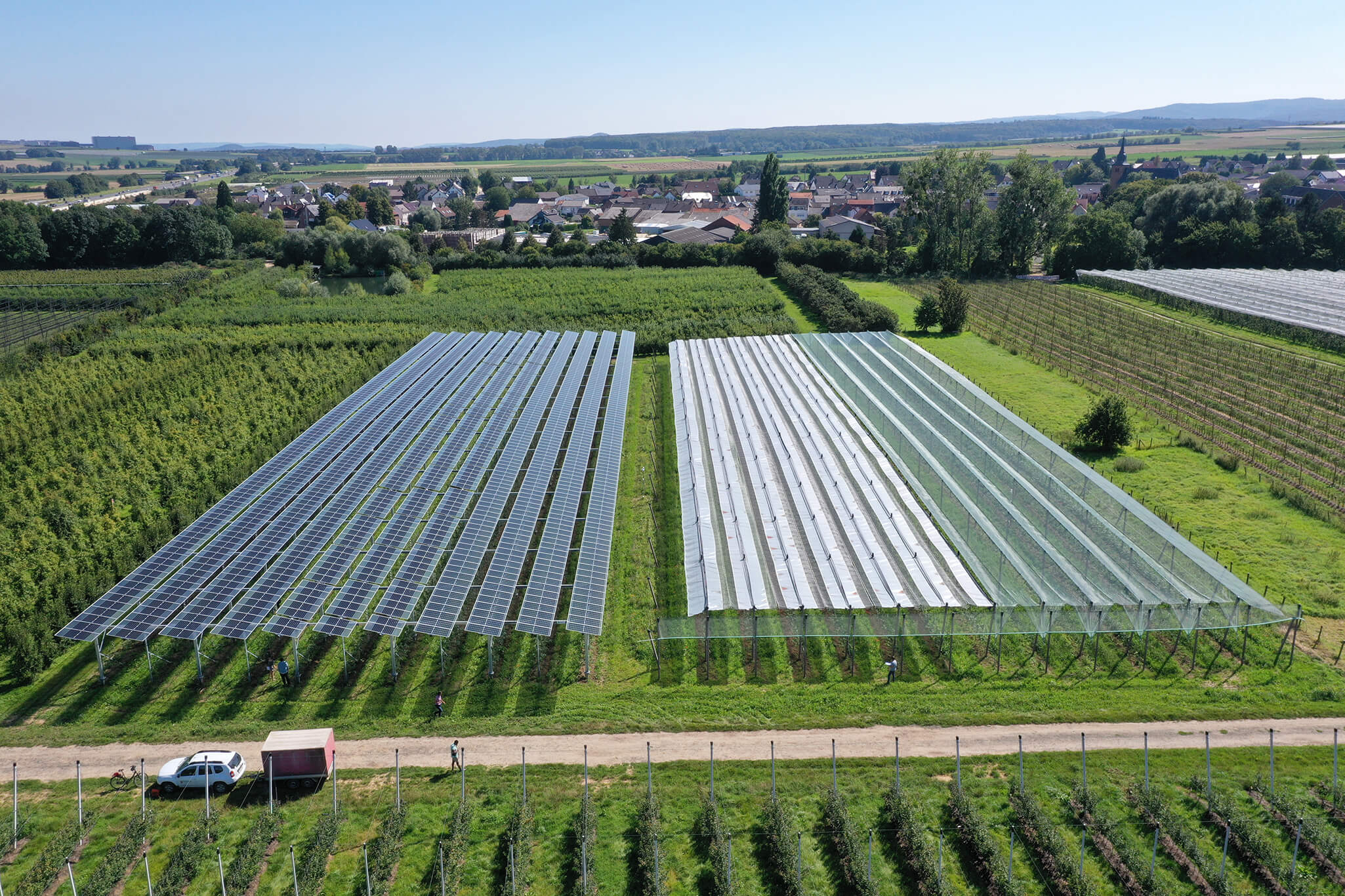 APV Obstbau Versuchsaufbau