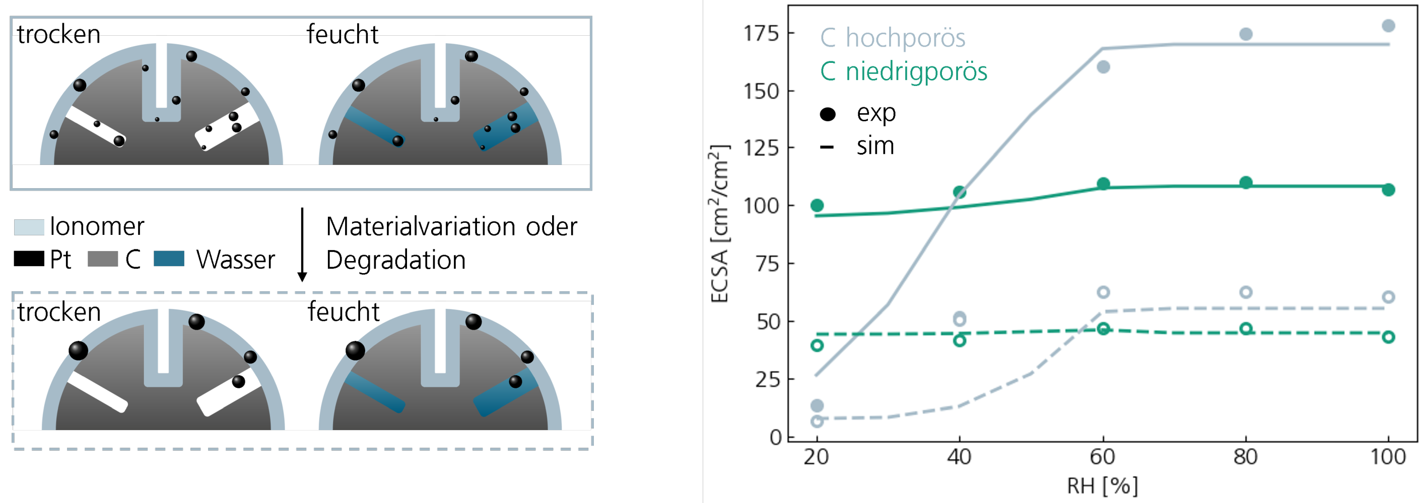 Messung/Simulation der aktiven Katalysatoroberfläche (ECSA, electrochemically active surface area) bei unterschiedlicher relativer Gasfeuchte (RH, relative humidity) für verschieden poröse Kohlenstoffträgermaterialien. Links: durch Ionomer oder Wasser aktiviertes Pt bei gegebener Morphologie. Rechts: Simulation versus Messung mittels CO-stripping.