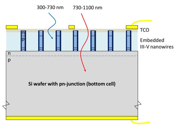 Tandemsolarzelle aus III-V Nanodrähten auf Silicium