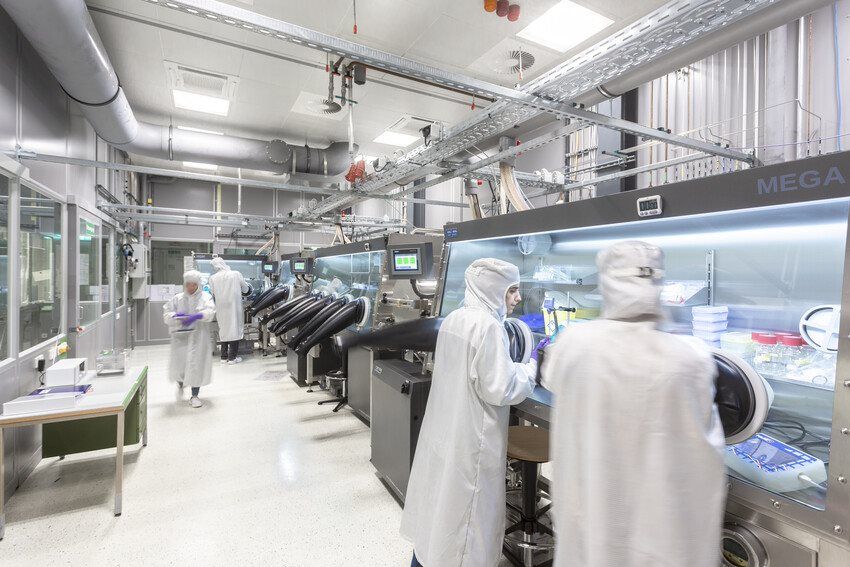 PeroLab Nasschemische Prozessierung