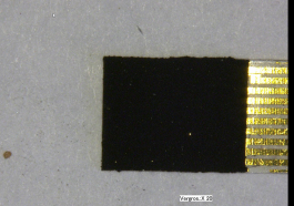 Sorptiv funktionalisiertes Sensor-Layout