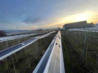 Blick auf Baumreihen mit Hagelschutznetzen und überdachten Modulen.