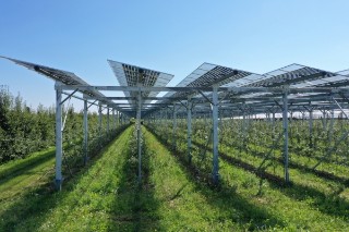Agri-Photovoltaik: Doppelt ernten