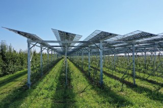 Agri-Photovoltaik: Doppelt ernten