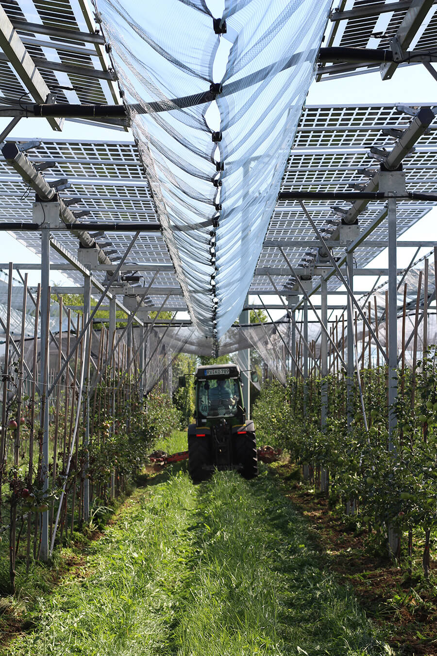 Agri-PV-Bewirtschaftung