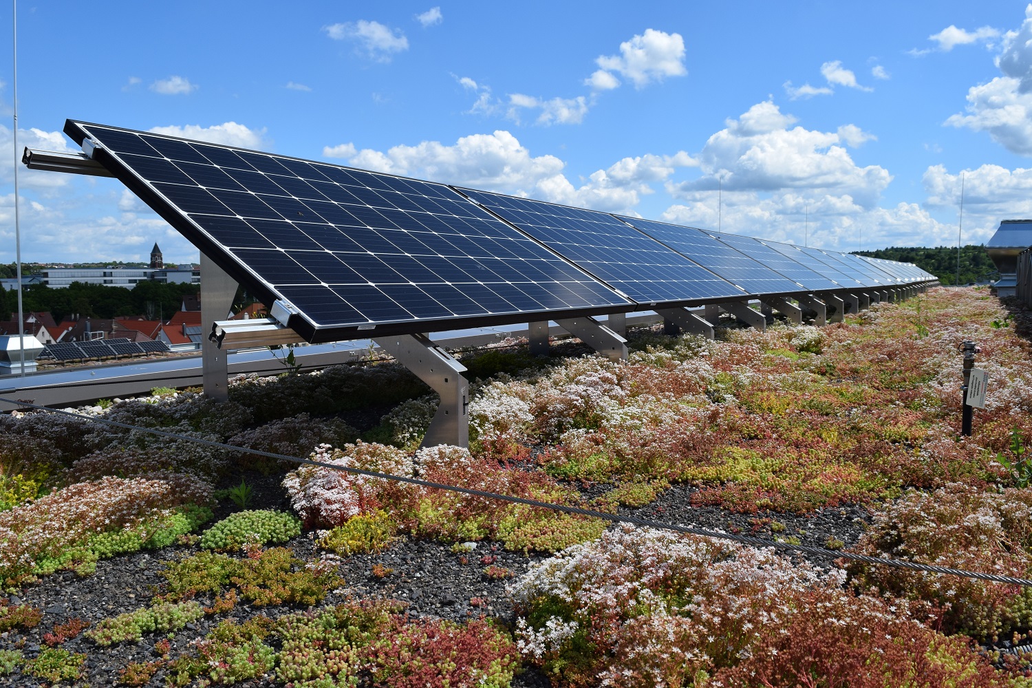 Wirtschaftlichkeit von Gründach-PV