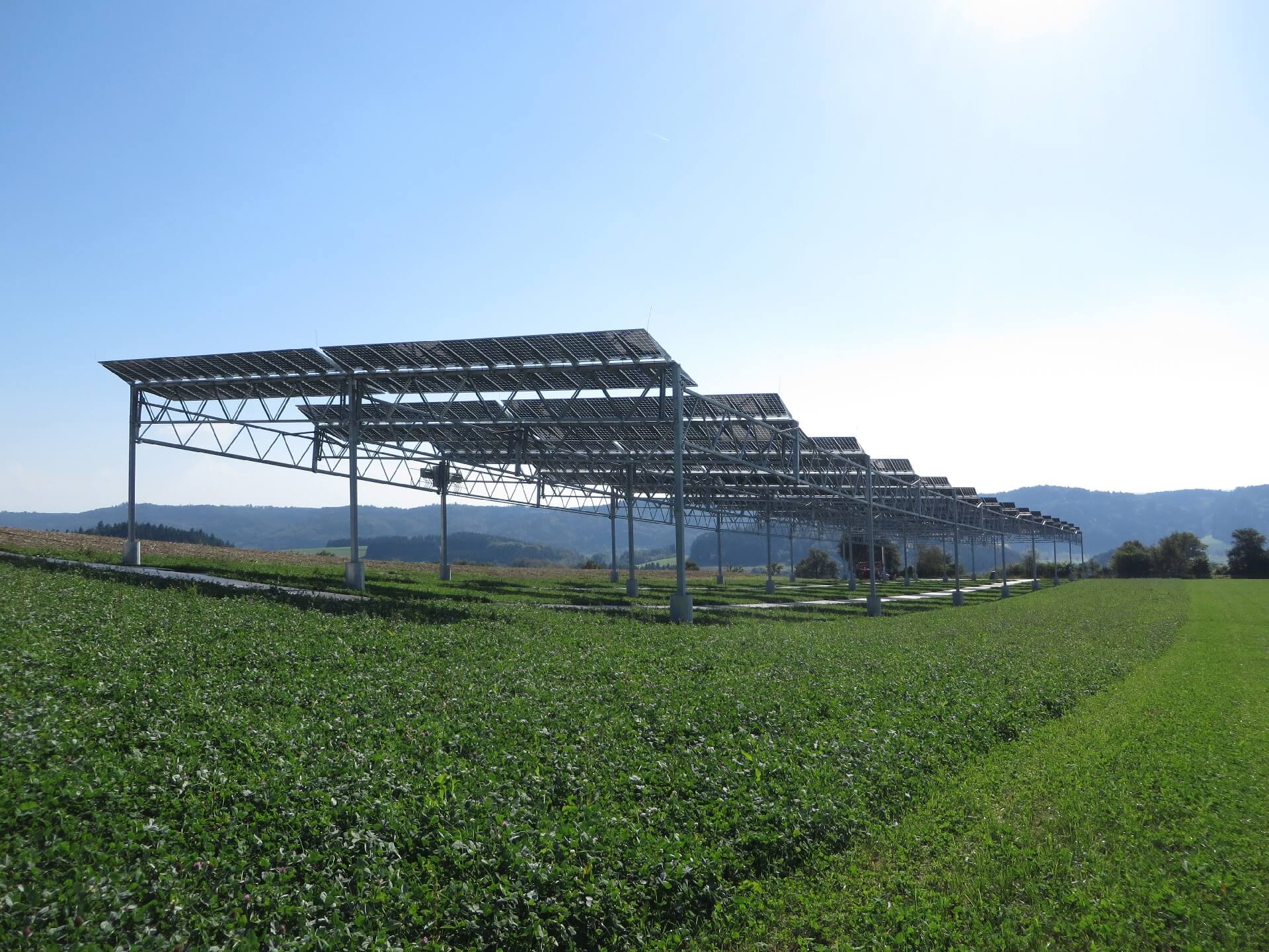 Die Agrophotovoltaik-Pilotanlage in Heggelbach am Bodensee kombiniert Strom- und Nahrungsmittelproduktion. 