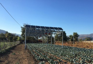 APV-Pilotanlage in Curacaví, Chile