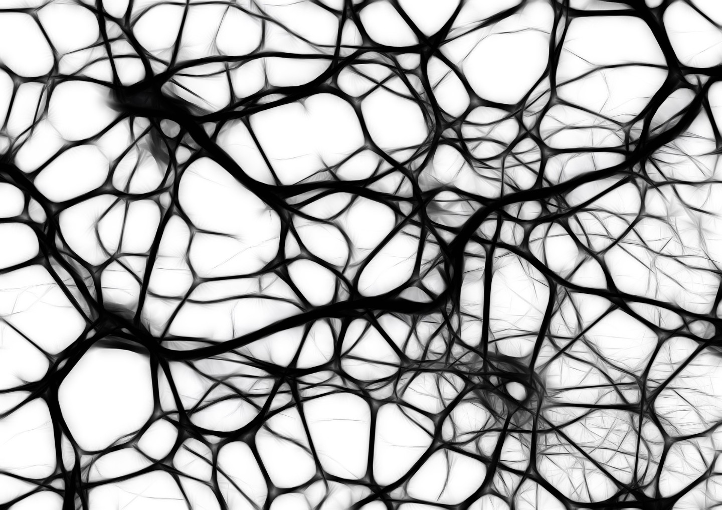 Neuronales Netz Neuronales Netz