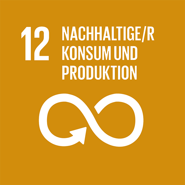 SDG 12 Nachhaltiger Konsum und Produktion