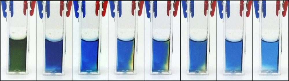 Characterization of zinc-ion batteries with water-based electrolyte and pH indicator for the investigation of reaction mechanisms.