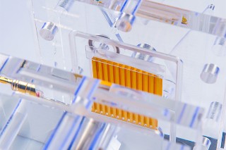 Efficient Membrane Water Electrolysis