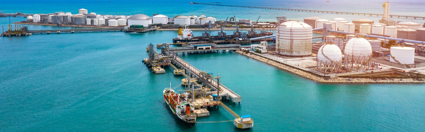 Building Sustainable Hydrogen Supply Chains: A Holistic Analysis