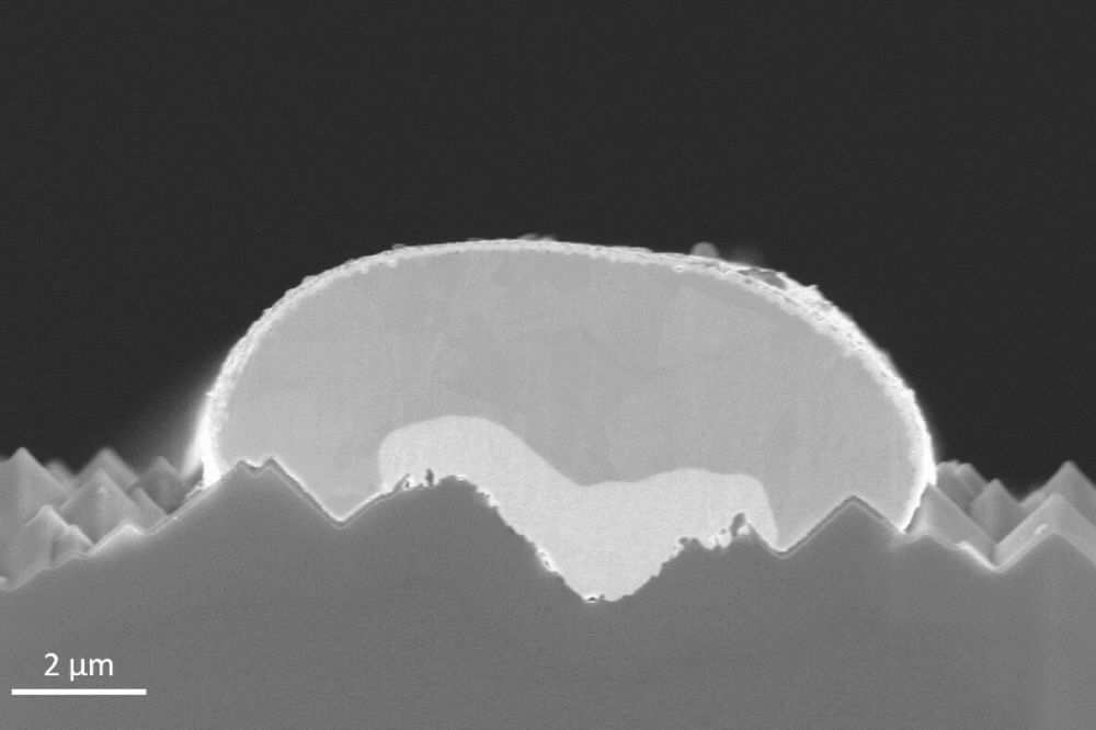Elektronenmikroskopische Aufnahme eines Nickel-Kupferkontaktes mit hauchdünnem Silbercapping auf einer TOPCon-Solarzelle.