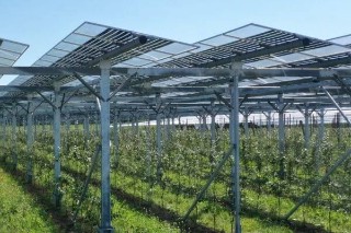 Dual Use of Land with Agrivoltaics