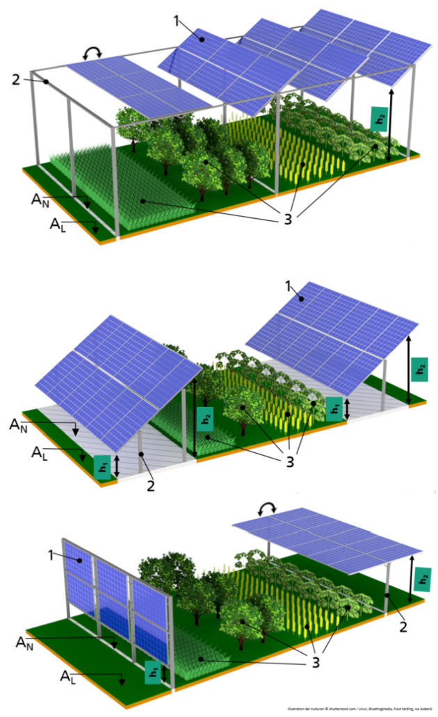 Aₗ = agriculturally usable area, Aₙ =area not usable for agriculture, h₁ =clear height below 2.10 m, h₂ =light height above 2.10 m, 1 = Examples of solar modules, 2 = Elevation, 3 = Examples of agricultural crops.