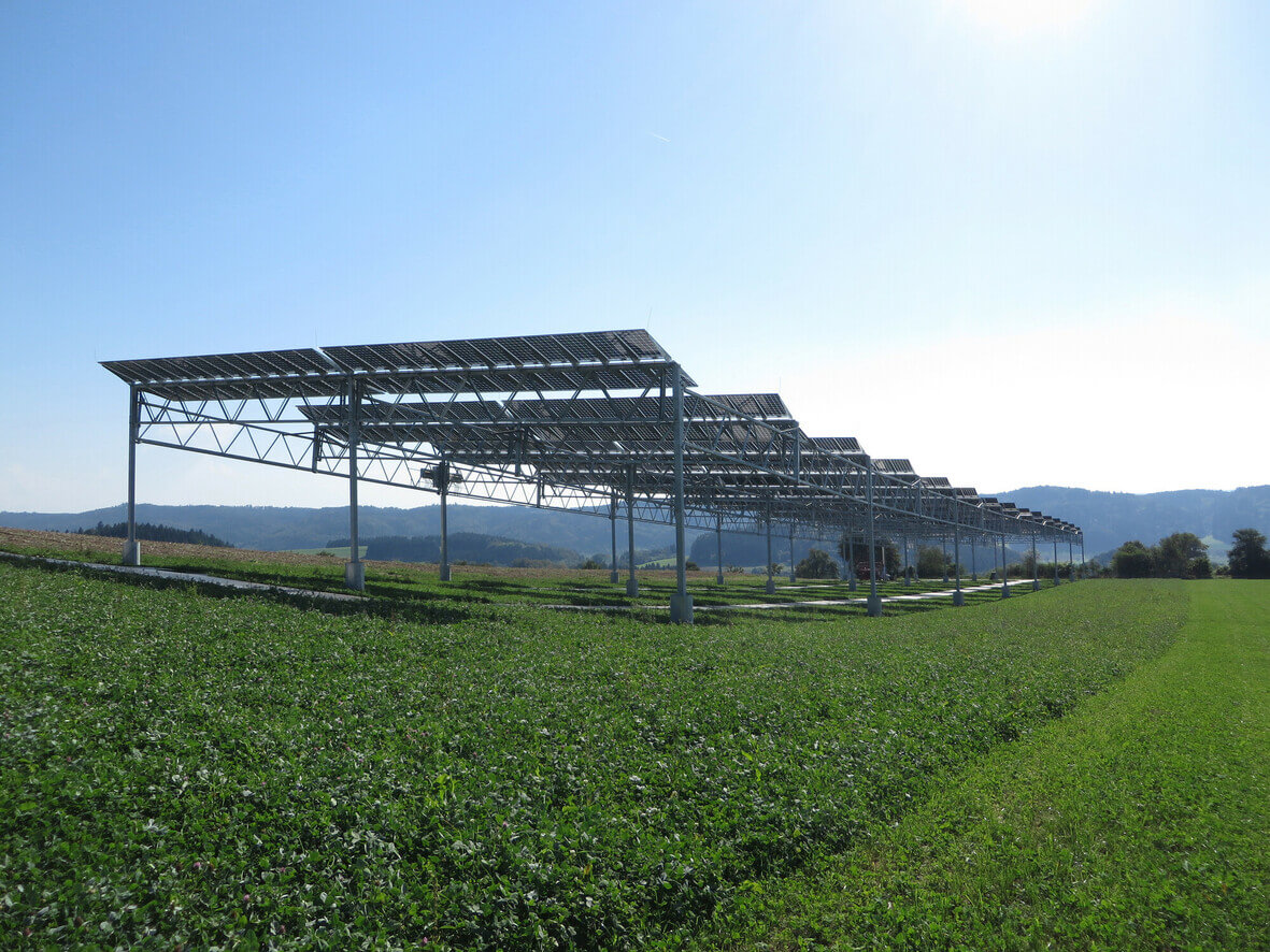   Agrivoltaics combines the production of food crop and electricity generation. 