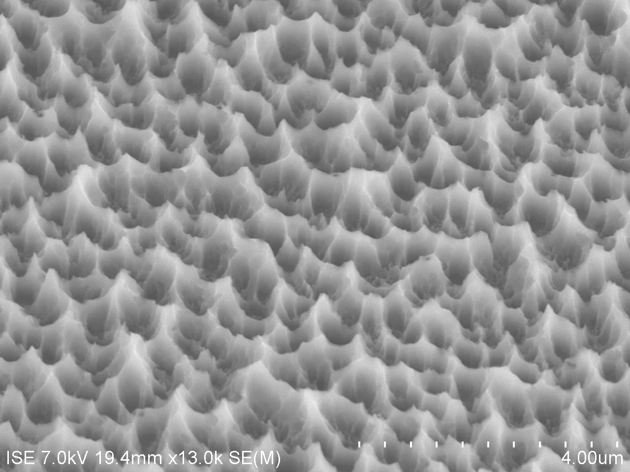 Plasma texture for multicrystalline silicon