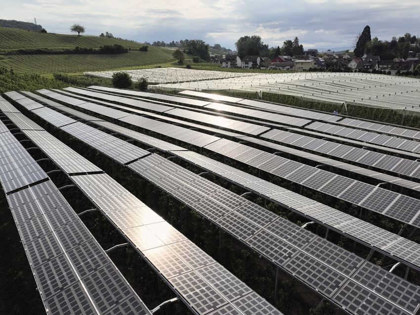 Blick von Oben auf Agri-PV-Anlage in Kressbronn