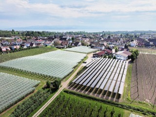 Hagelschutznetze werden häufig im Obstbau verwendet. Eine Agri-PV-Anlage hat neben der Stromproduktion auch eine Schutzfunktion.