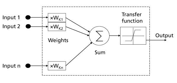 Mathematical model of a neuron (nerve cell).