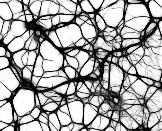 Neural network of the human brain.