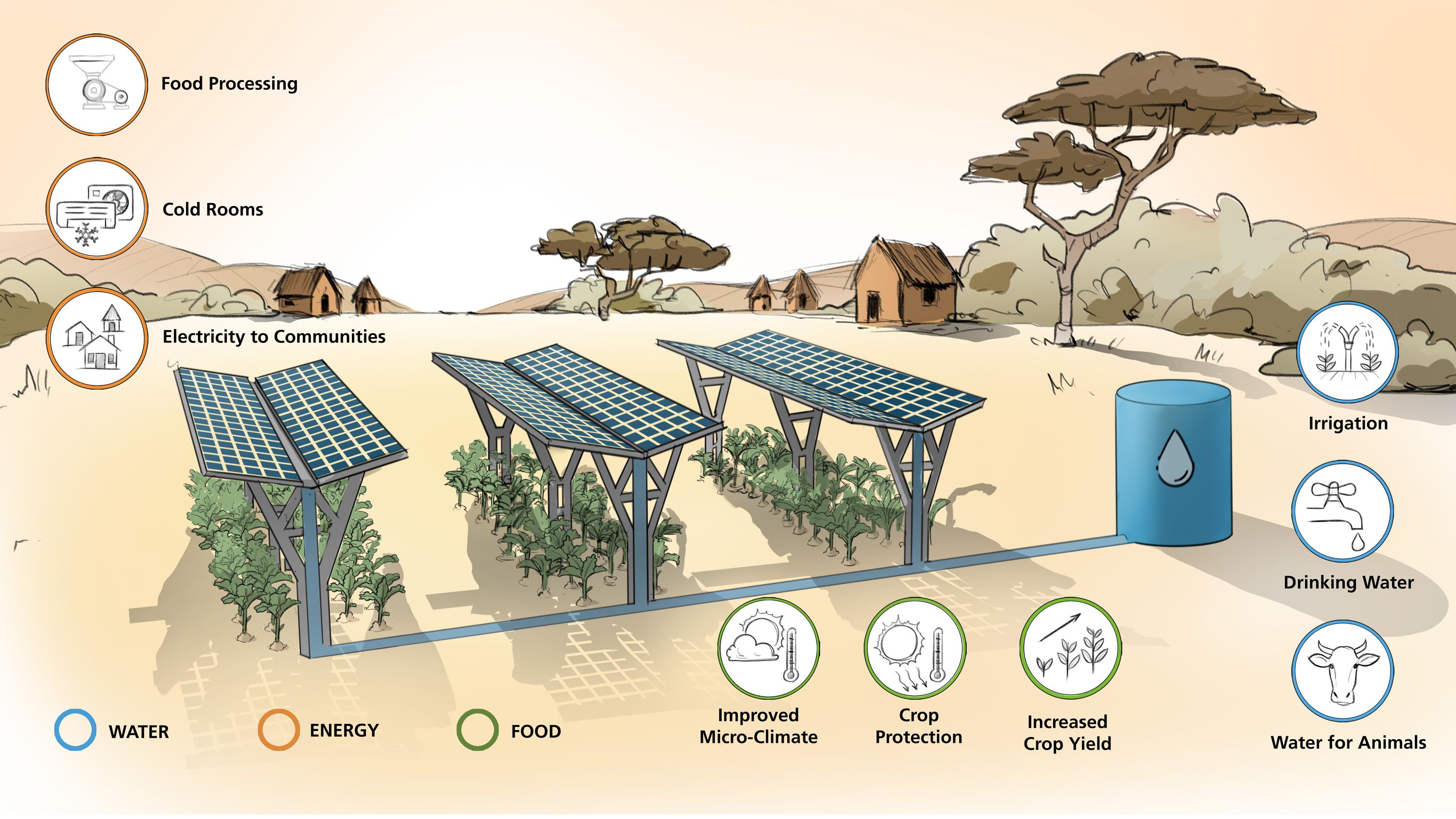 Schematic diagram of a triple land use through agrivoltaics