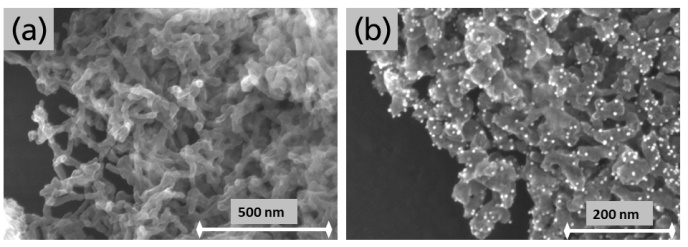 STEM nitrogen doped carbon NDC support (a), and Pd/NDC catalyst (b).