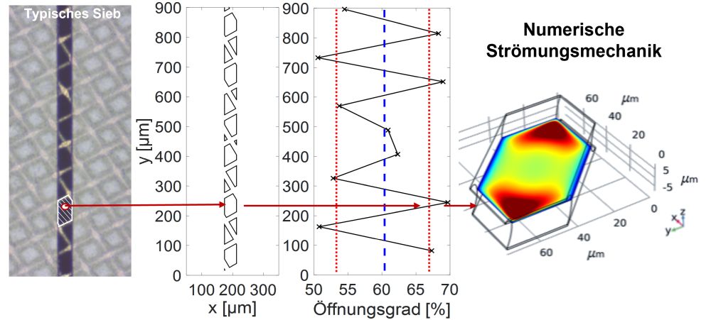 Preliminary work at Fraunhofer ISE. The central starting point for the development of a sieve simulation environment was achieved in the FINALE joint project with the funding code 0324098B. Virtual images of channel structures can be modeled and analyzed.