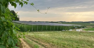 Agrivoltaic system from hop farmer Josef Wimmer and AgrarEnergie GmbH in Hallertau.