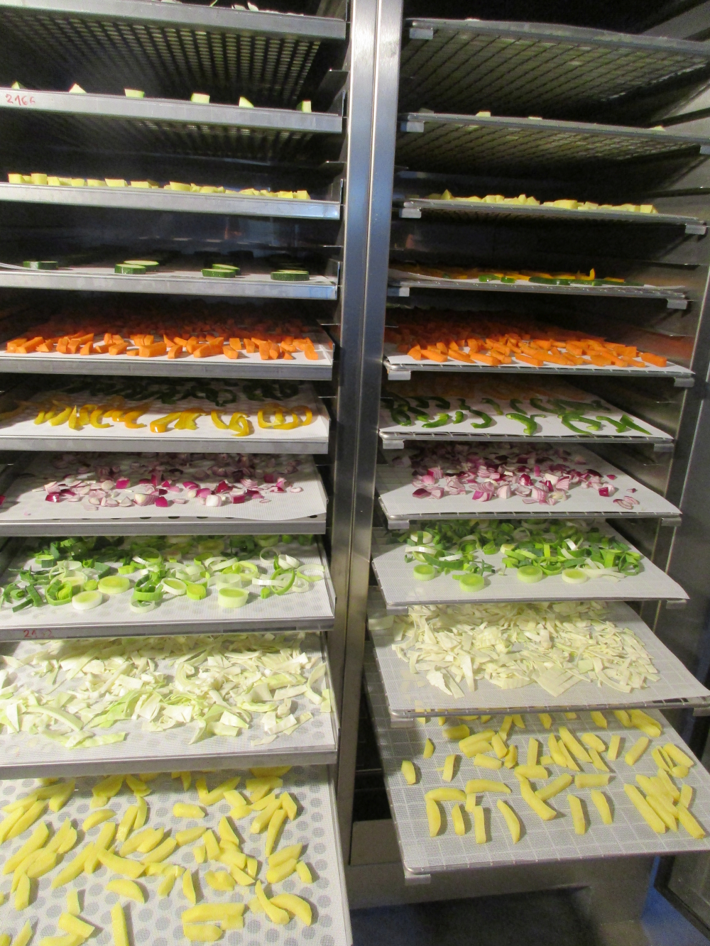 Innotech tray dryer equipped with different types of vegetables on the dryer trays.