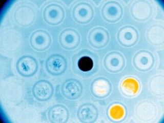 Thermography analysis of sub-cooling behavior