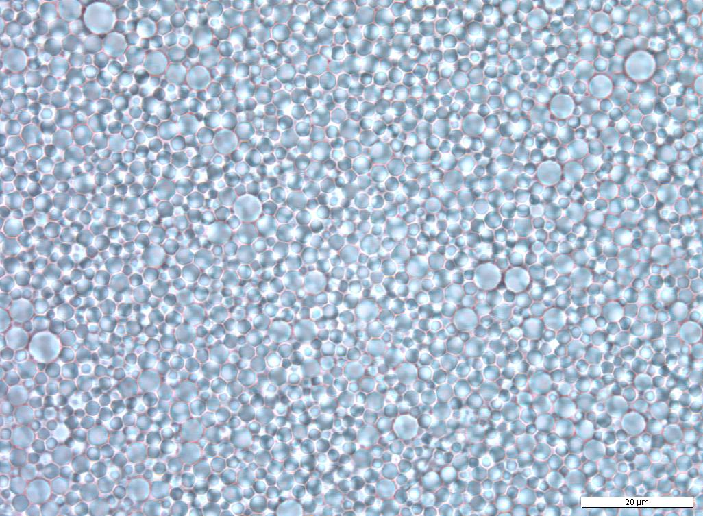 Microscope image of a PCM emulsion