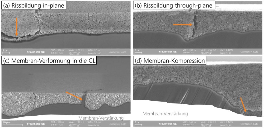 SEM cross section of cathode catalyst layer 