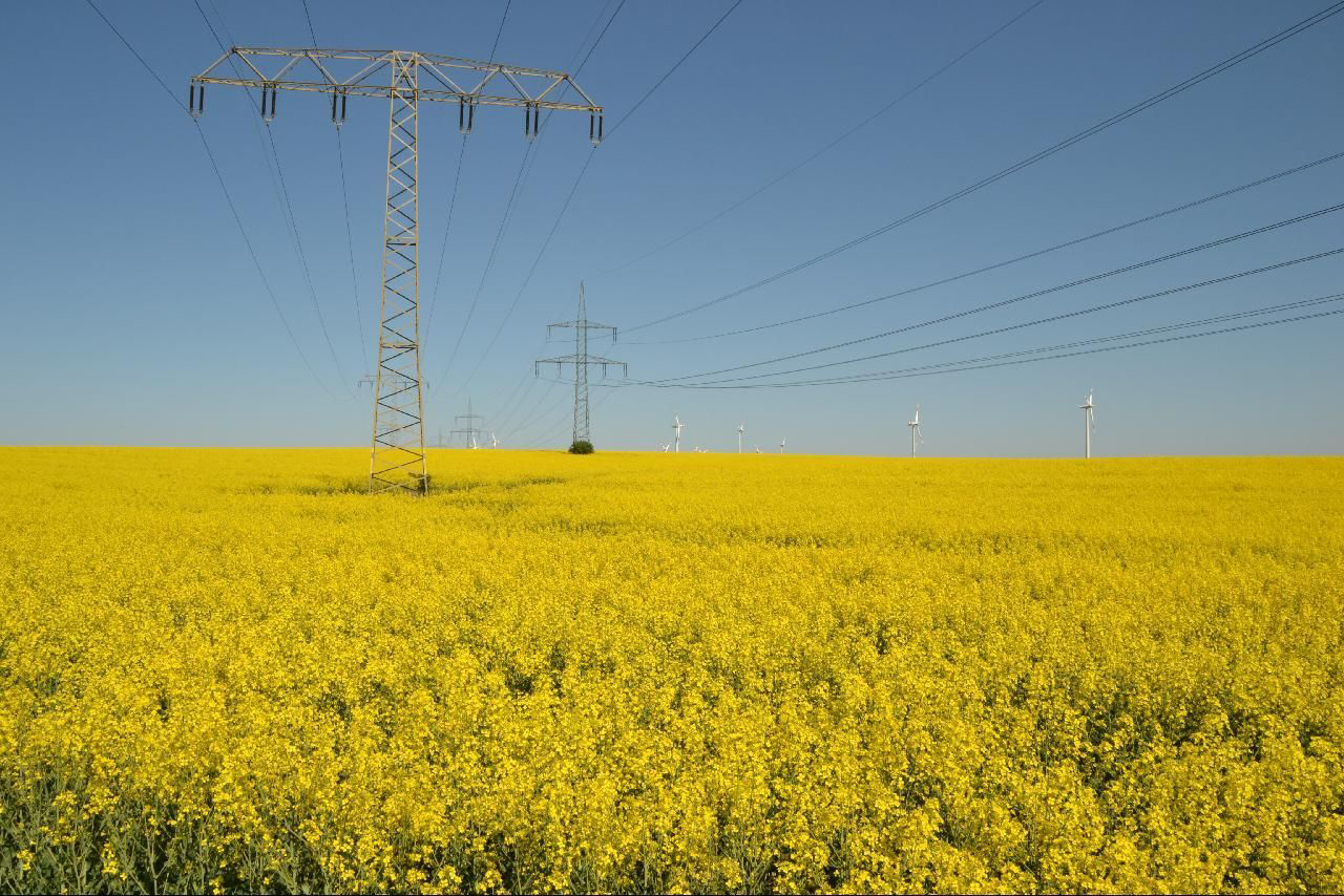 Wind turbines and high-voltage power lines.