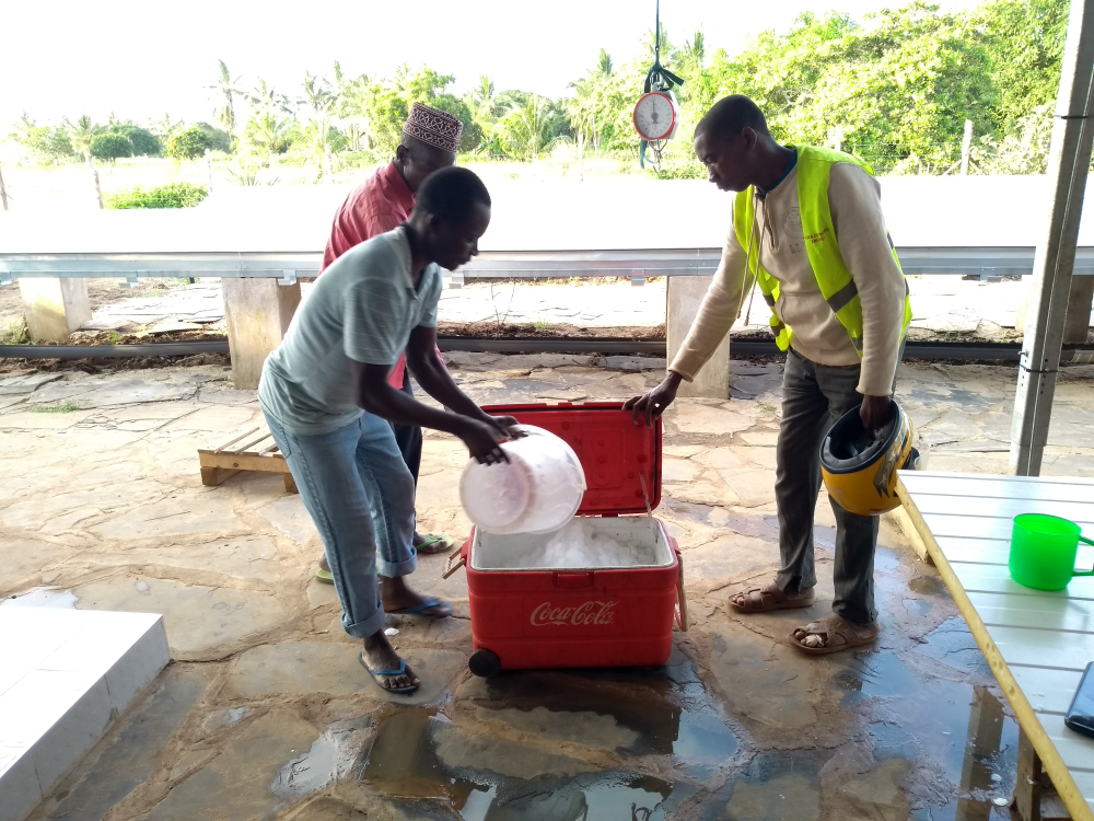 Ice sale.