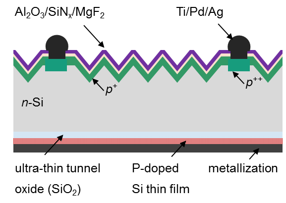 Schematic diagram of TOPCon solar cell.
