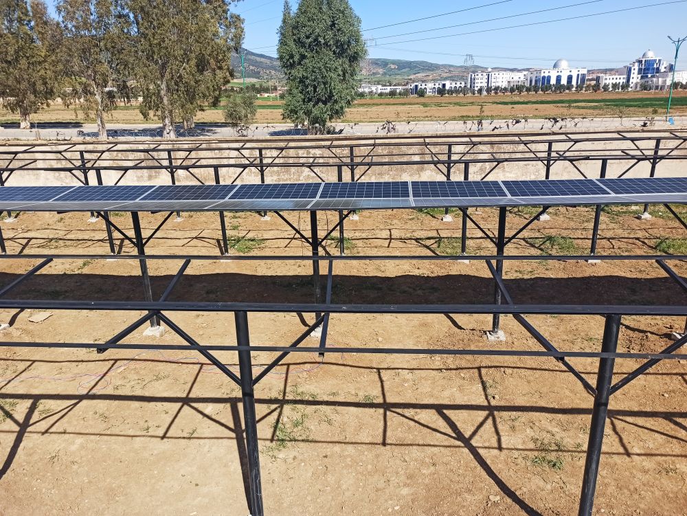 The agrivoltaic system installed in Algeria includes integrated rain water harvesting