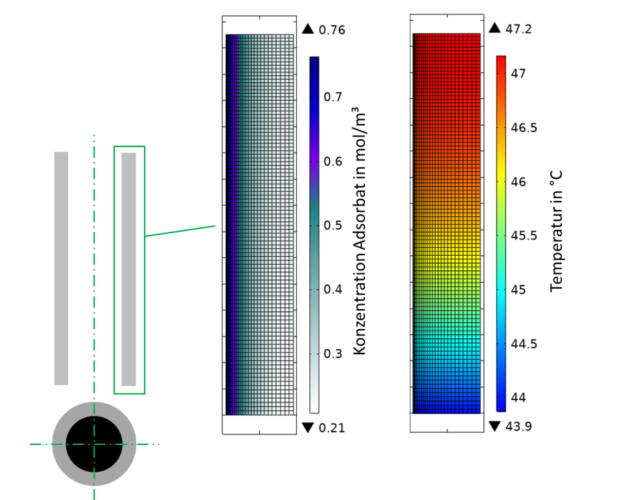 Ergebnisse der Simulation für Konzentrationsverteilung 